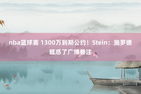 nba篮球赛 1300万到期公约！Stein：施罗德眩惑了广博眷注