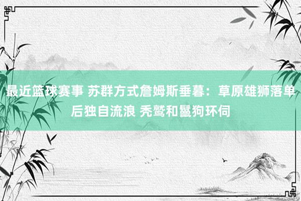 最近篮球赛事 苏群方式詹姆斯垂暮：草原雄狮落单后独自流浪 秃鹫和鬣狗环伺